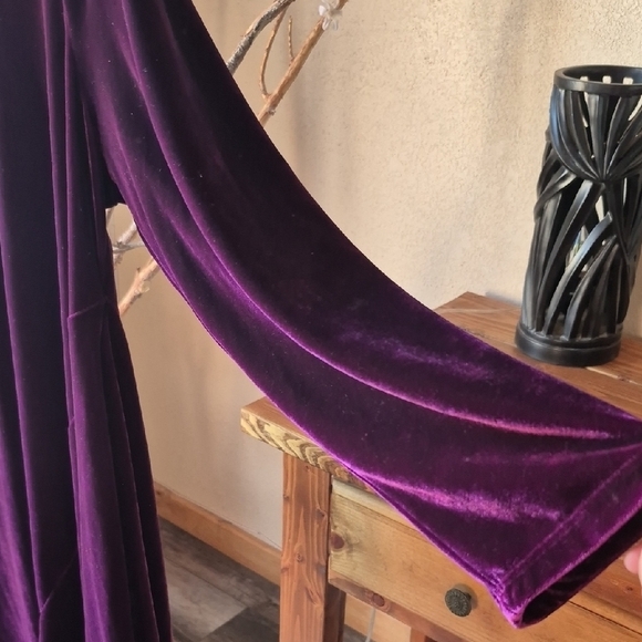 HOLIDAY SALE Soft Surroundings Rich Purple Velvet Tunic With Cowell Neck - Picture 3 of 5